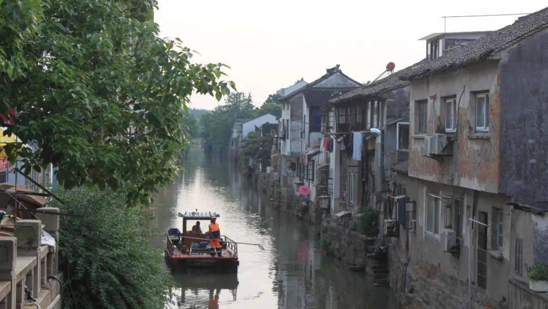 动物帮帮忙保卫家园